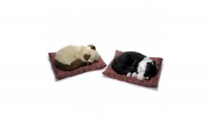 Rémisztően hasznavehetetlen holmik